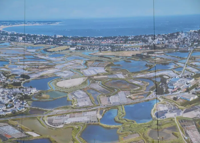 Kerjacnine, A 300 M Du Port, Maison 7 Couchages Avec Grand Jardin * 勒宝利古恩