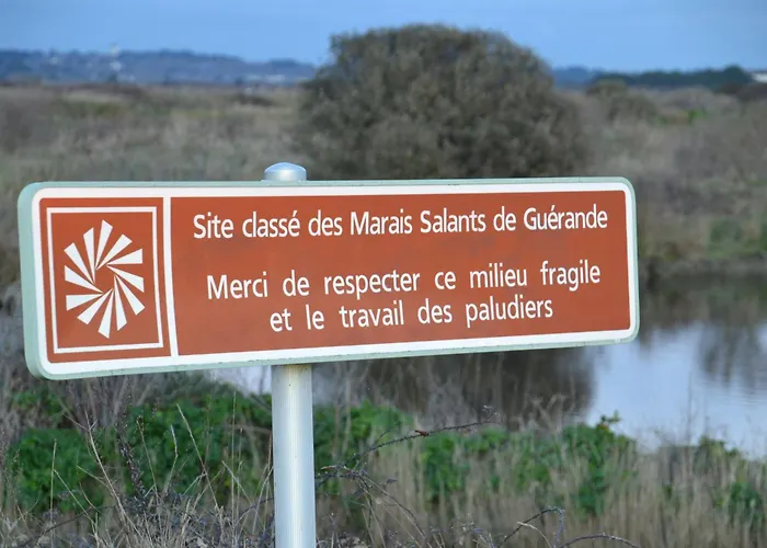 Kerjacnine, A 300 M Du Port, Maison 7 Couchages Avec Grand Jardin *